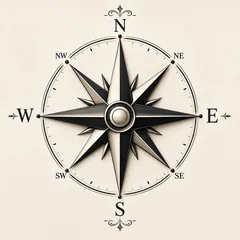 Compass rose representing Meet Chat